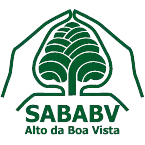 Ecosia: pesquise e ajude a plantar árvores